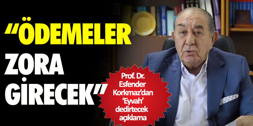 Prof. Dr. Esfender Korkmaz: Ödemeler zora girecek