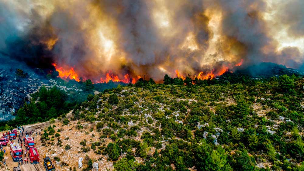 Hükümet yangınlardan ders almadı: Orman yangınları için beklenen adımlar atılmadı