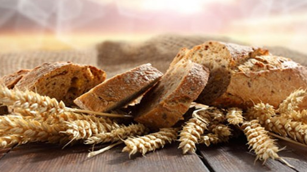 Ciddi artışlar bekleniyor! Buğday krizi ekmek krizine dönüşüyor