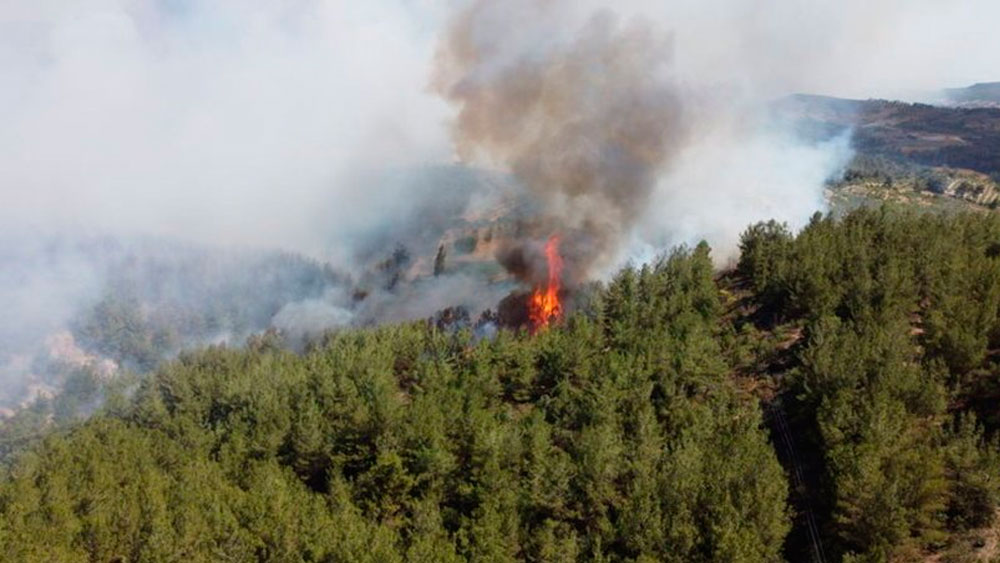 AFAD, orman yangınlarına karşı uyardı