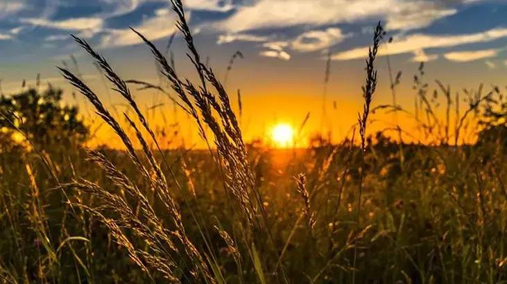 Meteoroloji'den kritik uyarı! Pastırma yazı geliyor... Sıcaklıklar 6 derece birden artacak 2