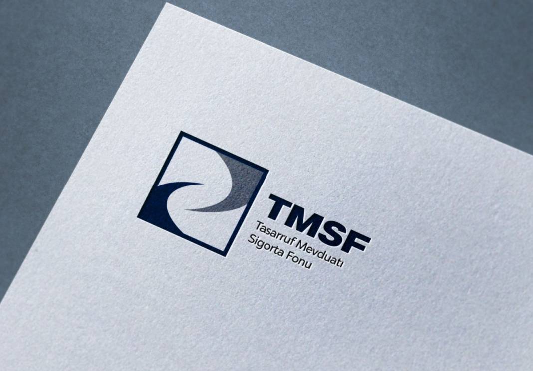 TMSF 1,8 milyar lira bedelle iki ünlü şirketi satışa çıkardı 2