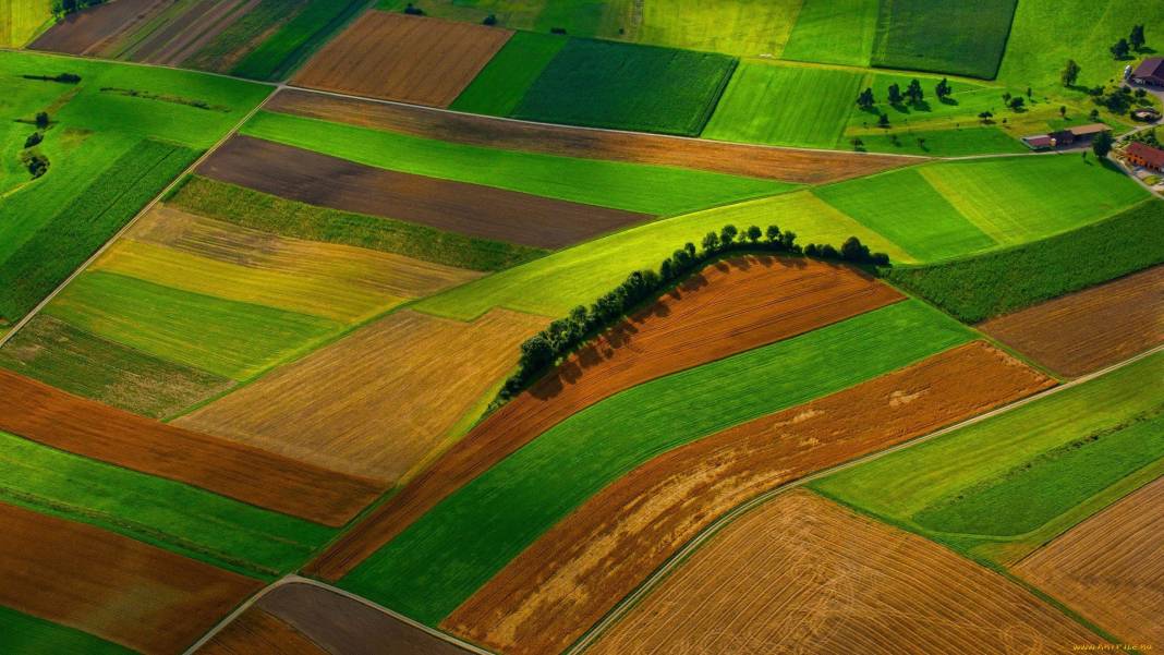 Miras kalan tarım arazileri için yeni karar: Dikkat kapsam dışı kalabilirsiniz 9