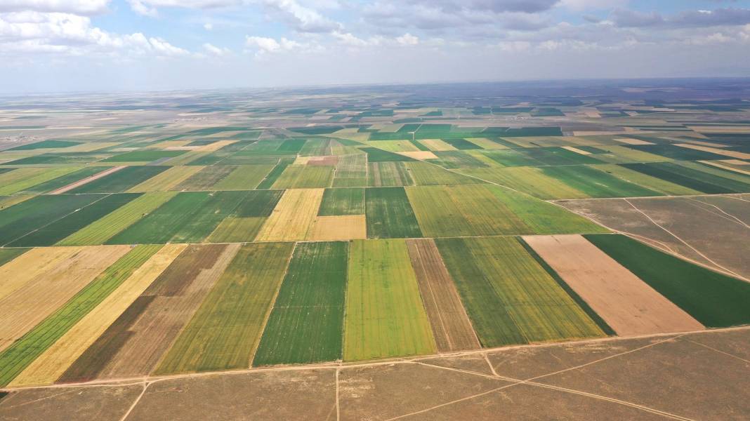 Miras kalan tarım arazileri için yeni karar: Dikkat kapsam dışı kalabilirsiniz 5