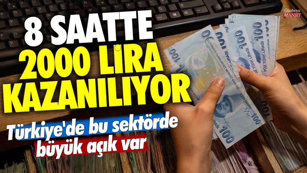 Türkiye'de bu sektörde büyük açık var! 8 saatte 2000 lira kazanılıyor 1