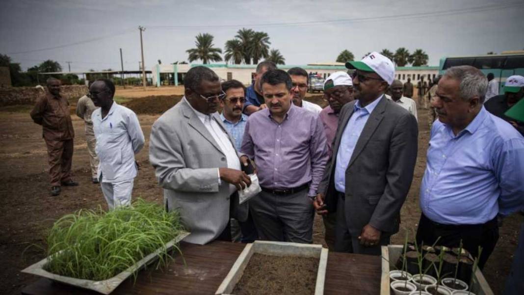 İktidar vizyon meselesi demişti... Sudan'da tek bir tohum ekemeden 99 yıllık proje iflas etti 3