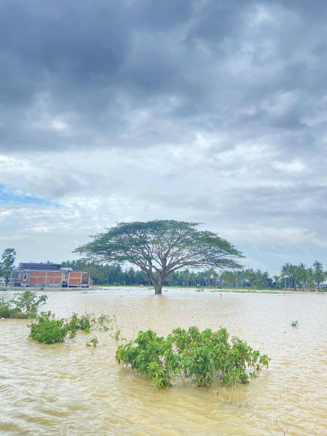 Sel yıktı geçti: 20 bin ev kullanılmaz hale geldi! 13