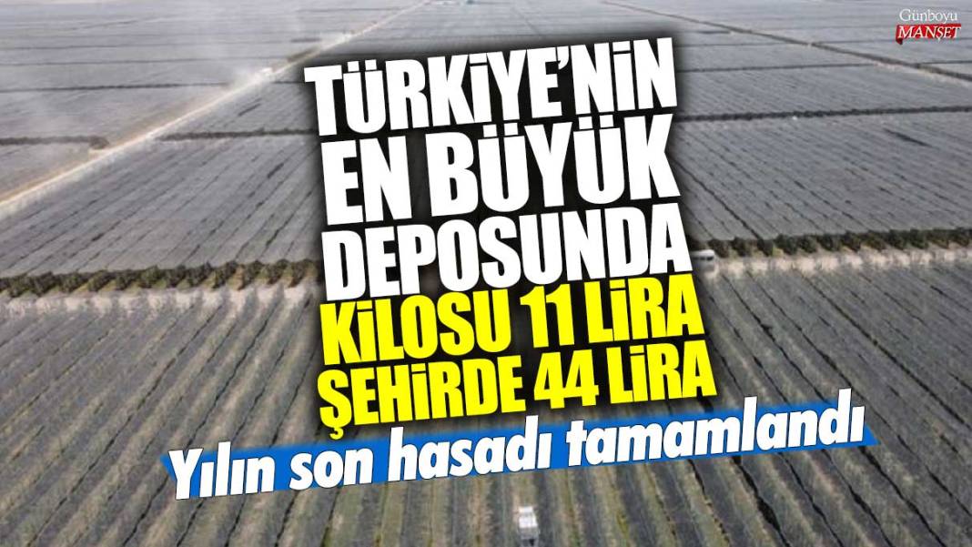 Yılın son hasadı tamamlandı! Türkiye’nin en büyük deposunda kilosu 11 lira şehirde 44 lira 1