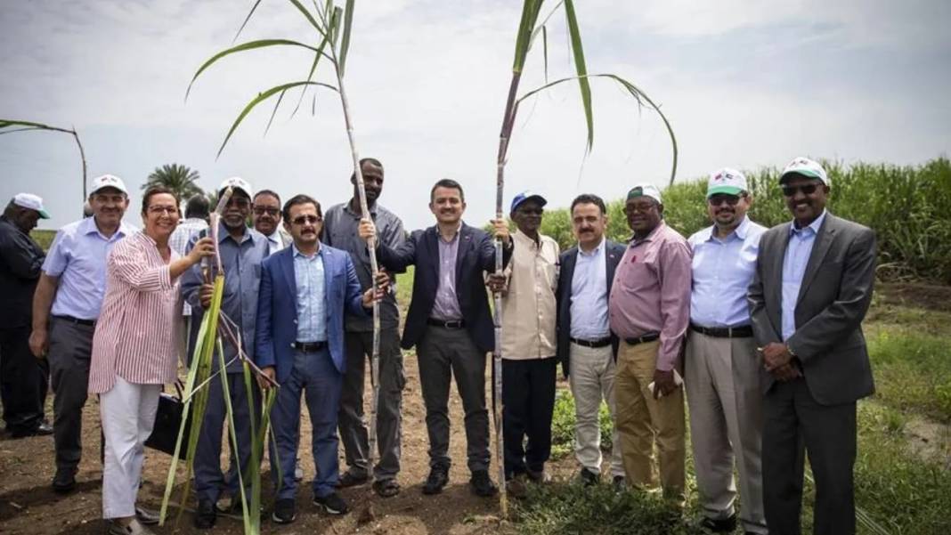 İktidar vizyon meselesi demişti... Sudan'da tek bir tohum ekemeden 99 yıllık proje iflas etti 5