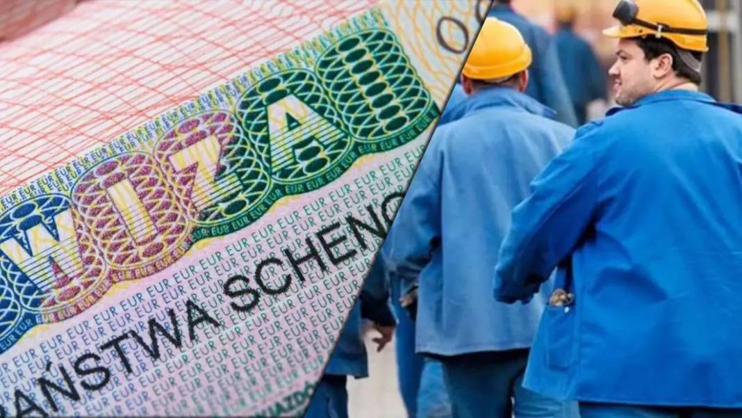 Almanya yeni göç yasası sonrası 100 bini aşkın maaşla 2 milyon işçi arıyor! 5