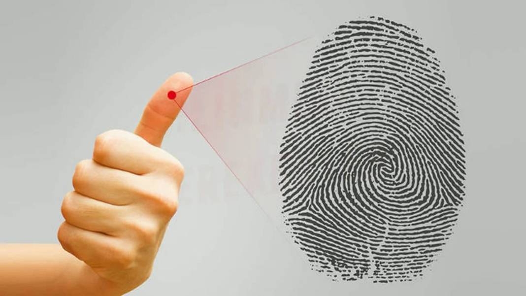 Araştırmacılar, “parmak izlerinin benzersiz olduğu” teorisini çürüttü! 4