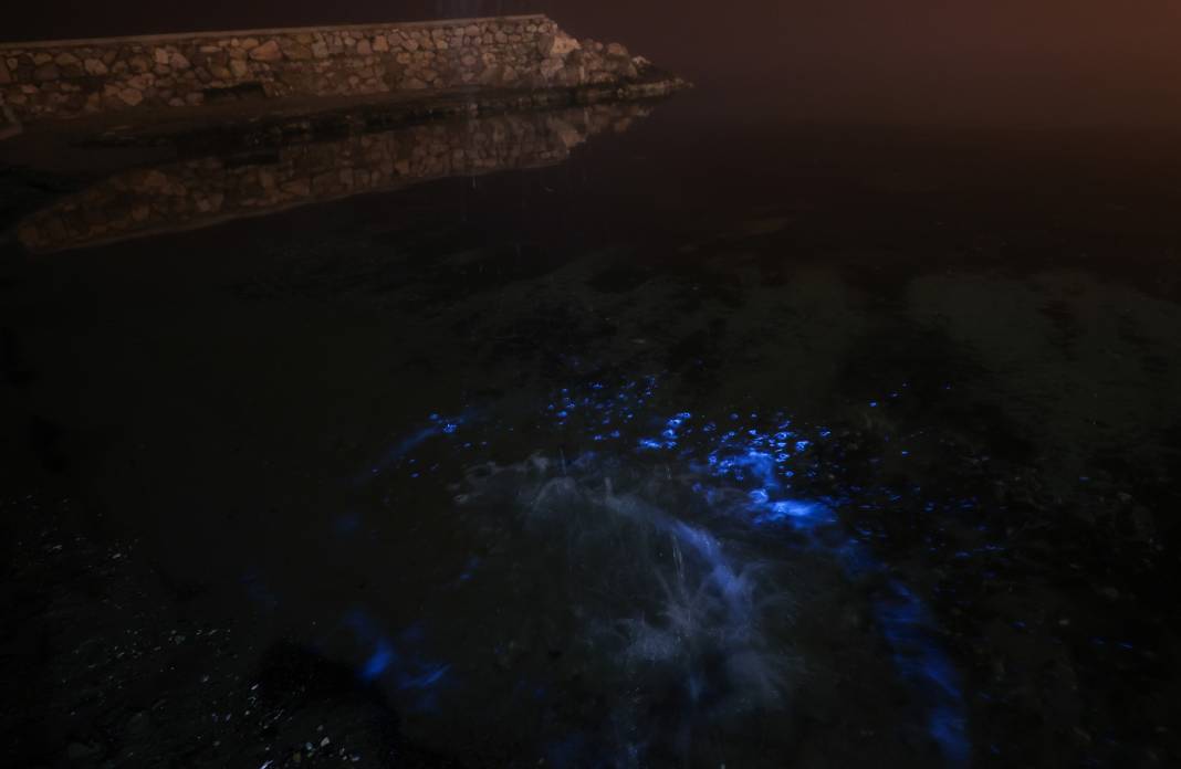 Bilim kurgu değil gerçek: Marmara Denizi ışık saçtı! 3