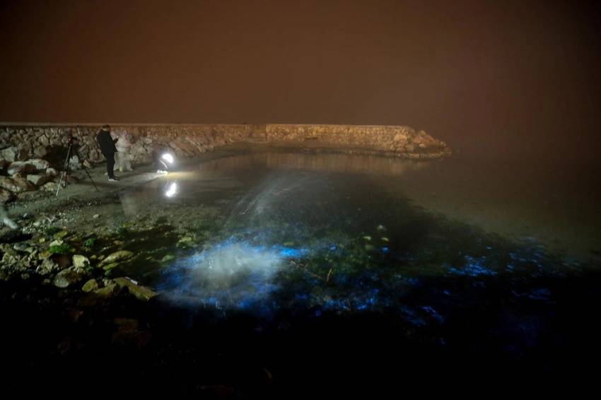 Bilim kurgu değil gerçek: Marmara Denizi ışık saçtı! 4