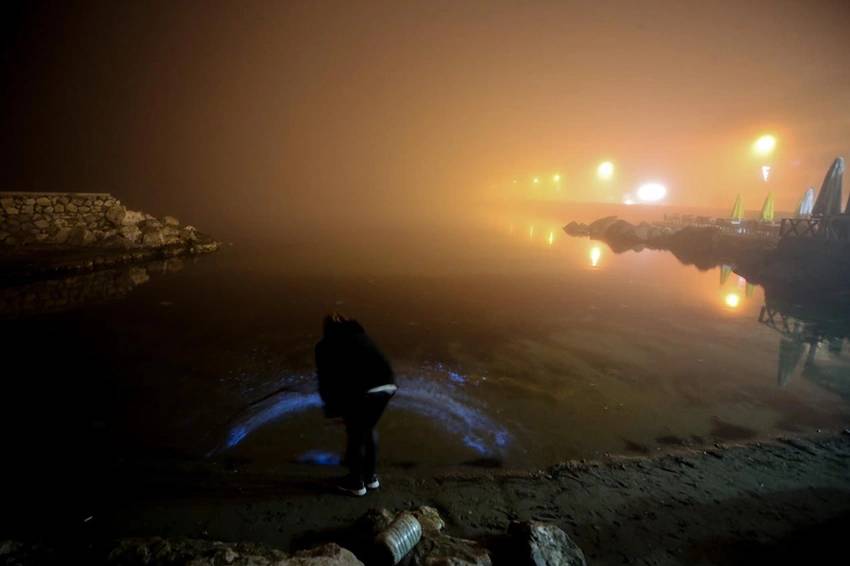 Bilim kurgu değil gerçek: Marmara Denizi ışık saçtı! 8