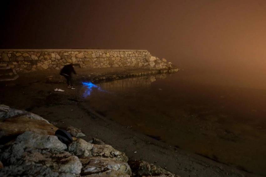 Bilim kurgu değil gerçek: Marmara Denizi ışık saçtı! 6