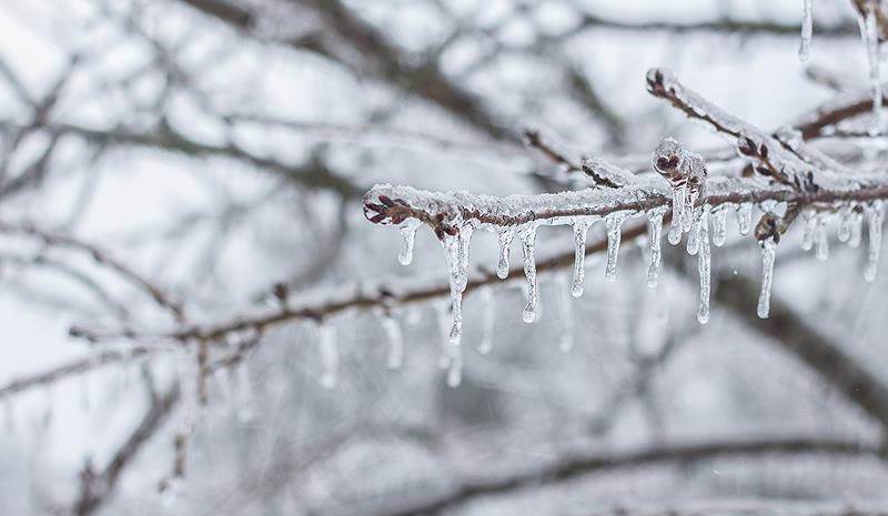 Türkiye buz kesecek! Meteoroloji tarih verdi: Kar, sağanak ve don... Hepsi birden geliyor 8
