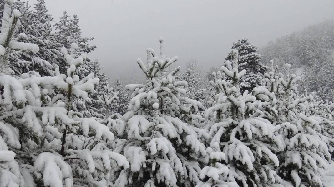 Meteoroloji o iller için tehlike çanları çaldı: Türkiye kar altında! 3