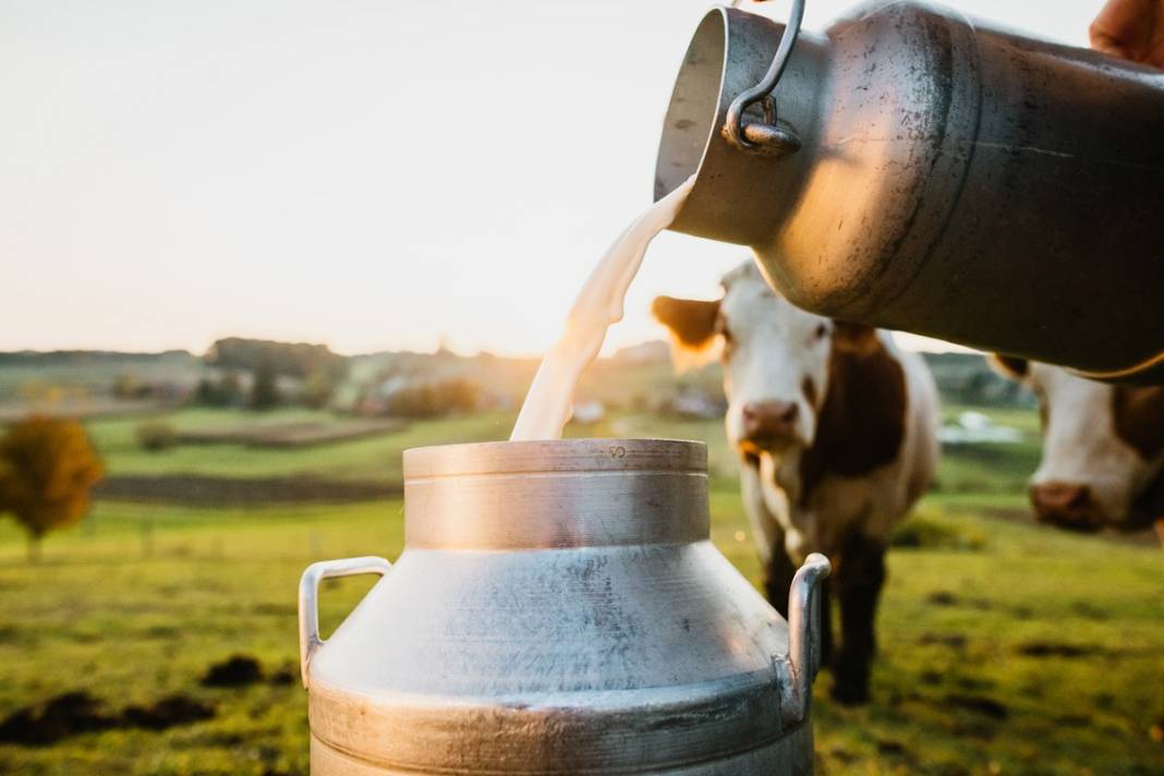 Ünlü süt üretim firması kepenk indirdi: Yılların markasından kara haber geldi 4