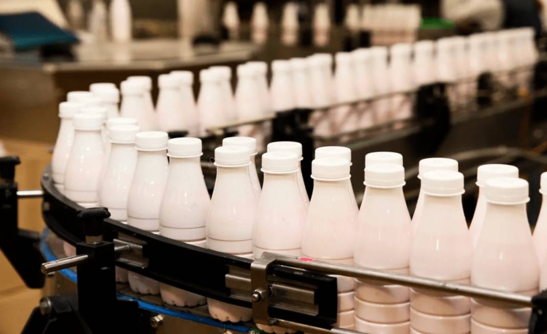 Ünlü süt üretim firması kepenk indirdi: Yılların markasından kara haber geldi 1