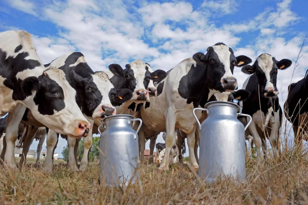 Ünlü süt üretim firması kepenk indirdi: Yılların markasından kara haber geldi 5