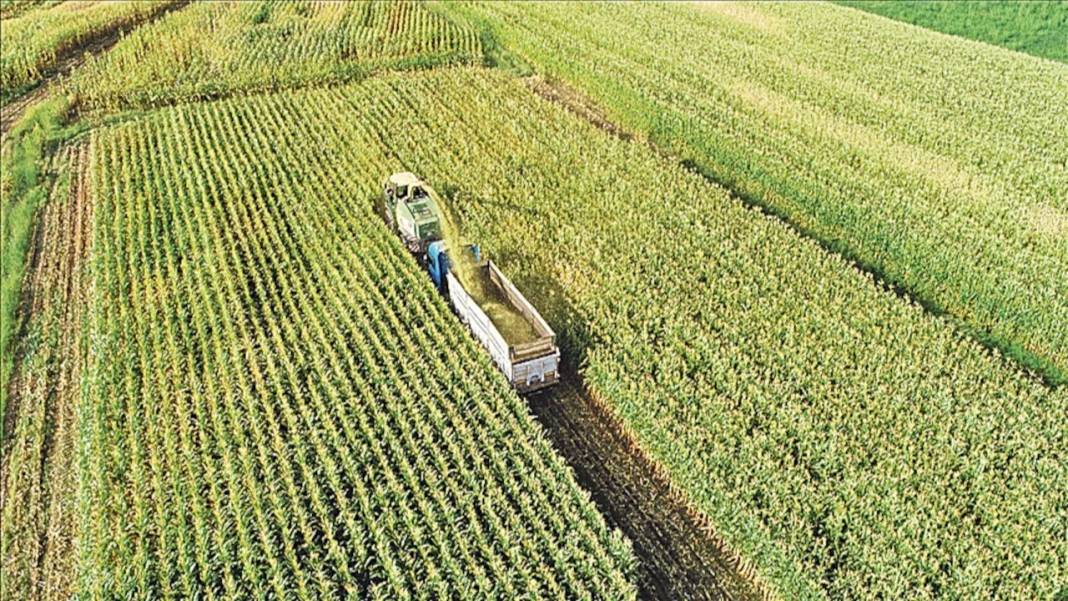 Çiftçiler buna bayılacak: Tarlalarda %70 varan su tasarrufu sağlayacak 7