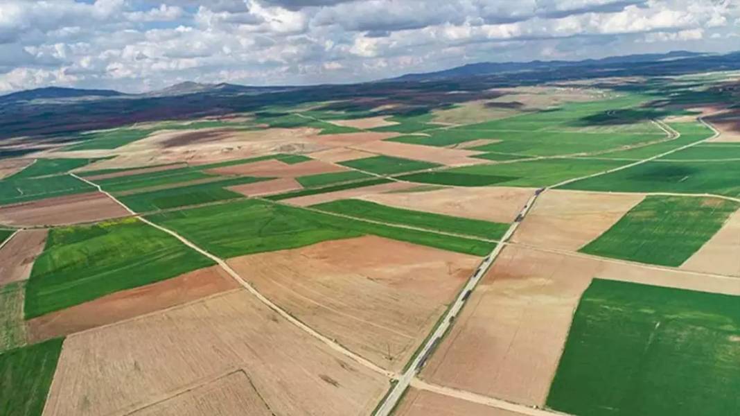 Merkezi yerde 11 bin liraya tapu sahibi olma fırsatı: Milli Emlak kaçırılmayacak arsayı duyurdu 6