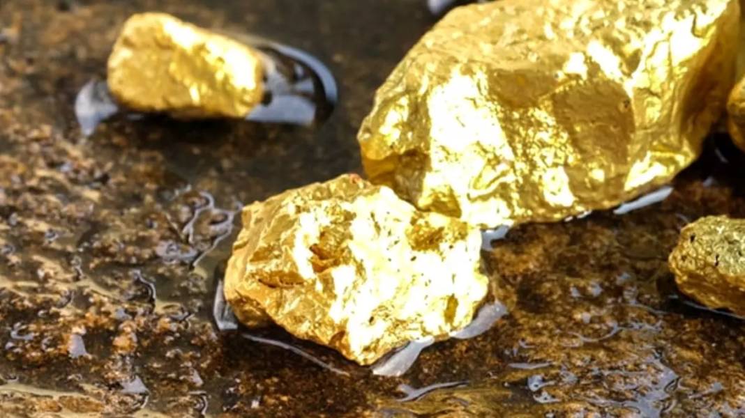 34 yıl aradan sonra en büyük altın rezervi bulundu! Her yerden altın fışkırıyor 4