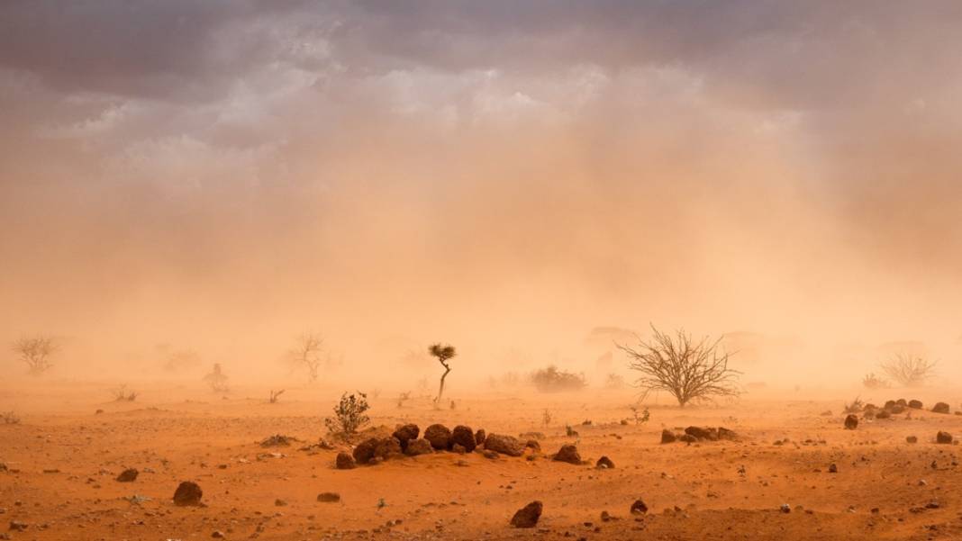 Meteoroloji tarih vererek uyardı Afrika’dan büyük tehlike geliyor! Pencereyi kapıyı kapatın 2