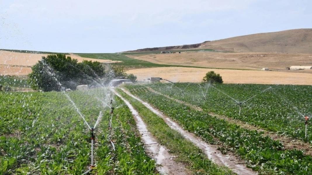 Milli Emlak'tan 3 kentte 7 bin liraya KDV'den muaf arsa tapusu fırsatı 8