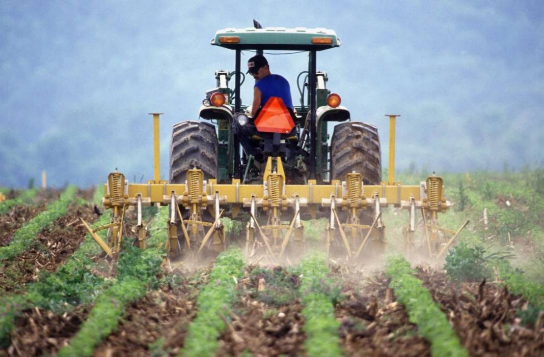 10 bin liraya hemen satılıyor! Son 30 yılın en çok kazandıranı 6