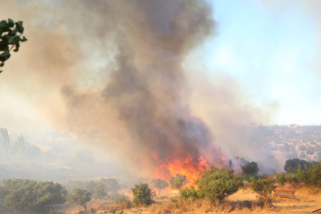 Çanakkale’de orman yangını çıktı. İki köy boşaltıldı 8