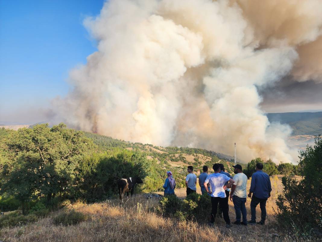Çanakkale’de orman yangını çıktı. İki köy boşaltıldı 1