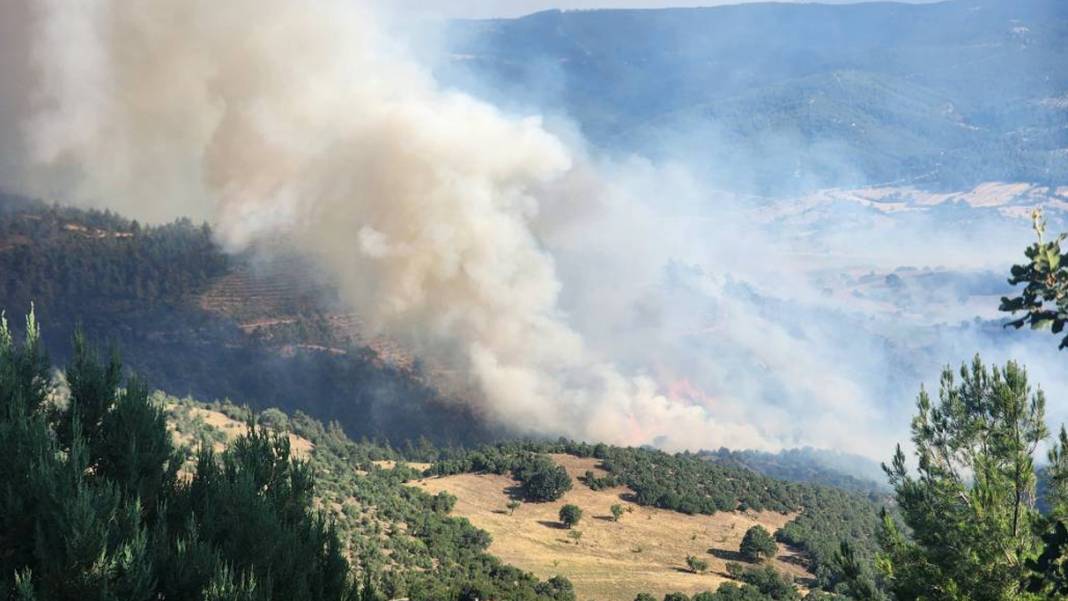 Çanakkale’de orman yangını çıktı. İki köy boşaltıldı 10