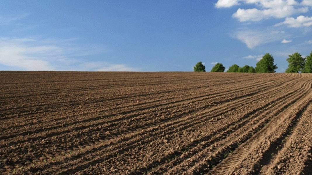 Bu iki ilden arsa alanlar çok kazanacak. Yatırımınız bir anda üçe katlanacak 5