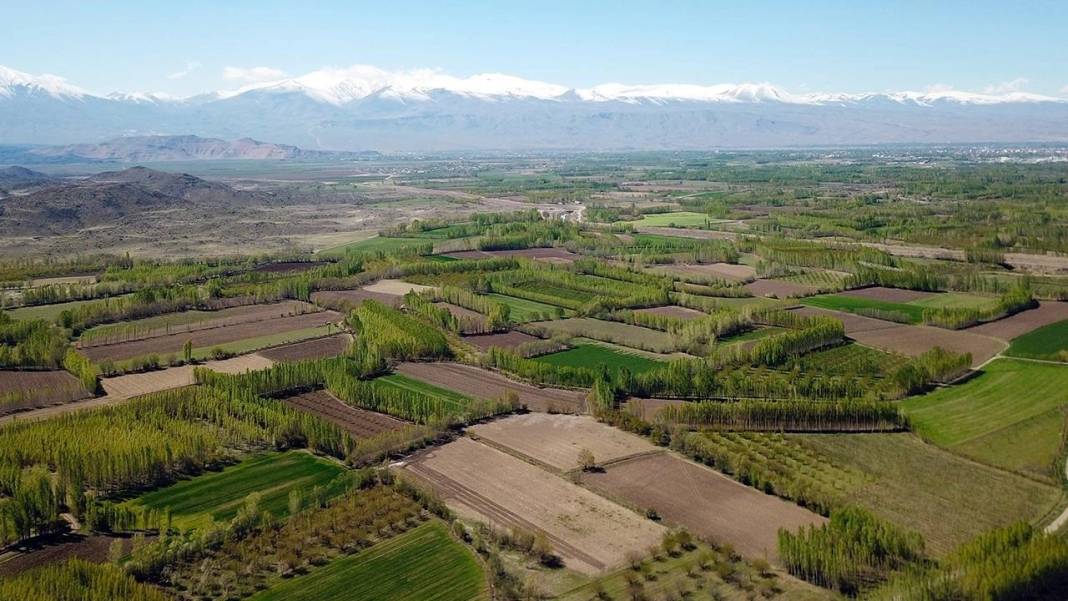 Bu iki ilden arsa alanlar çok kazanacak. Yatırımınız bir anda üçe katlanacak 4