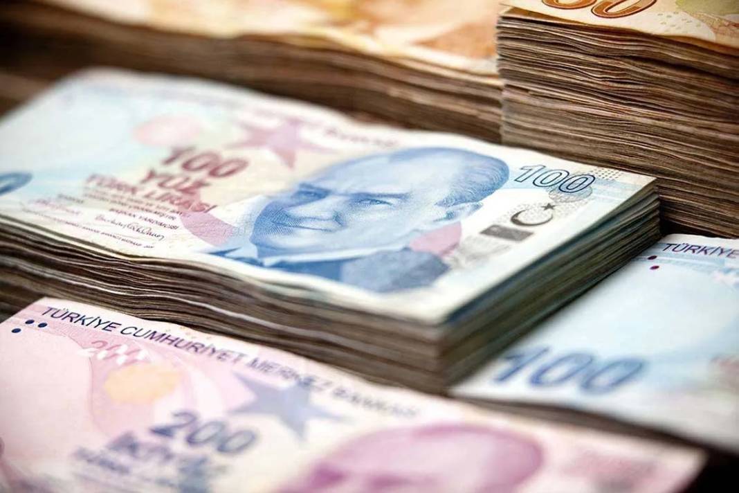 Başvurana 1 buçuk milyon lira destek verilecek. İşte başvuru şartları 8