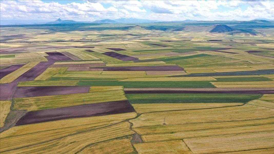 Tarla tapusu olanlara güzel haber! Bakanlık her ay para ödeyecek 5