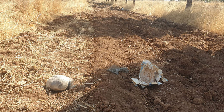 Şanlıurfa'da toprağa gömülü 8 kilogram patlayıcı bulundu