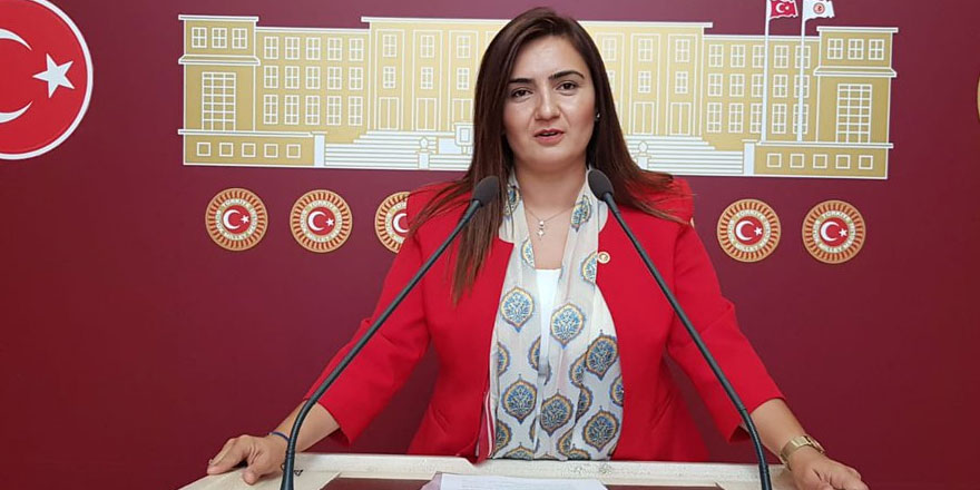 CHP'li Sevda Erdan Kılıç, özel bakımevindeki şiddeti Meclis gündemine taşıdı