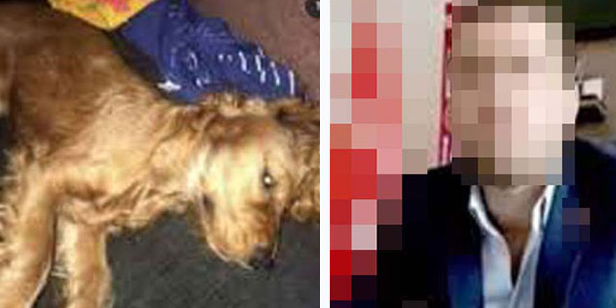  Ankara'da köpeğe cinsel istismarda bulunarak öldürmüştü! Yeni gelişme