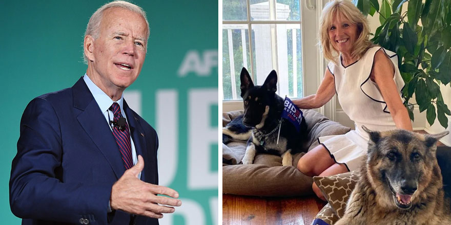 Biden'ın köpeği Beyaz Saray'ı karıştırdı