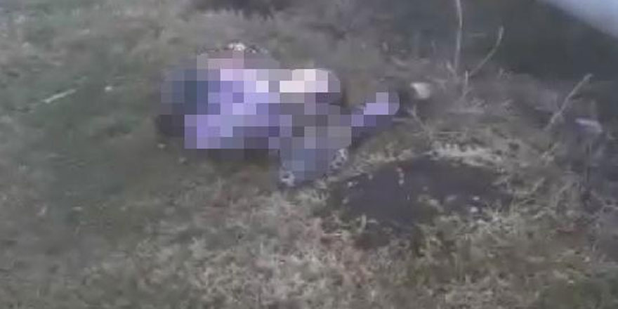 Adana'da kadın cinayeti! Hamile olduğu öğrenilen Suriye uyruklu İslim A. öldürüldü