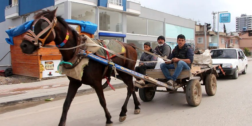 Adana'da at arabasına otomobil bağlayıp çektiler!