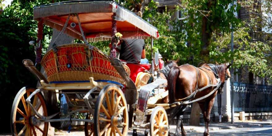 Ekrem İmamoğlu'nun MHP'li belediye hediye ettiği atlar kayıp! Çip takılmasına rağmen ortada yoklar