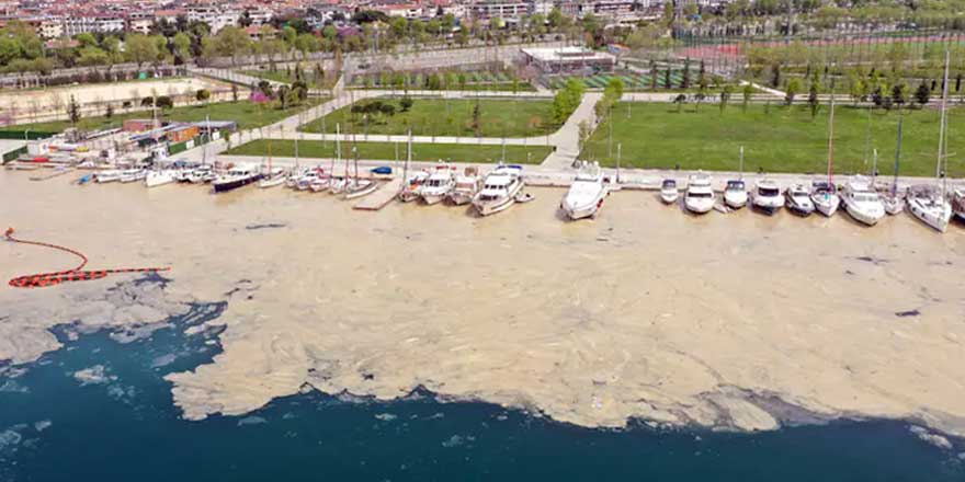 Dünya Marmara Denizi'ndeki deniz salyası krizini konuşuyor