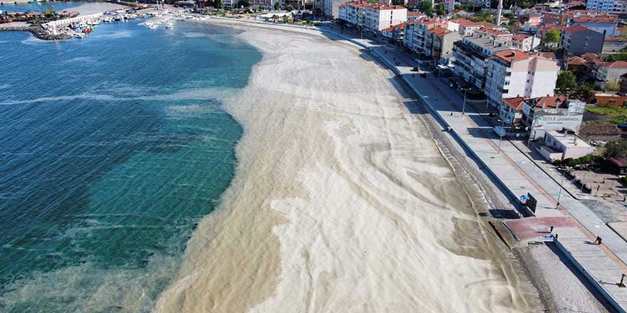 Bilim Danışmanı Dr. Erol Kesici'den acil önlem çağrısı: "Marmara ölü deniz haline geldi"