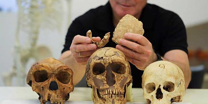 Tarih öncesi çağa ait erken insan türü keşfedildi