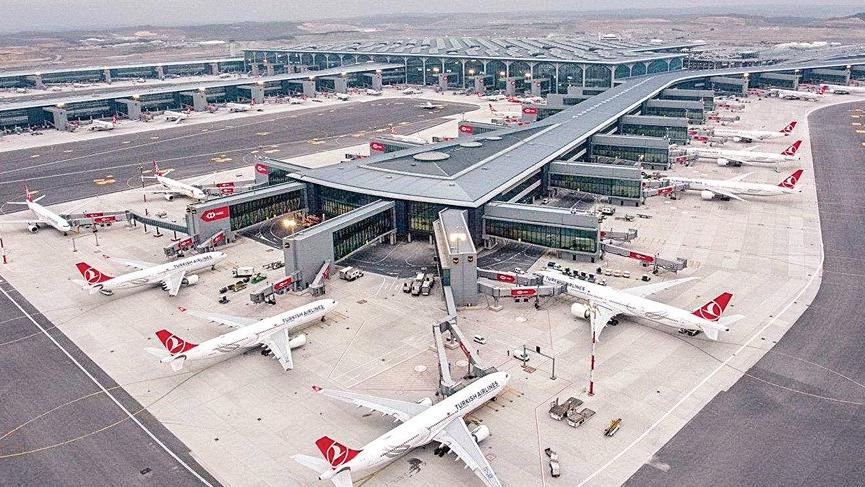 İstanbul Havalimanı'nı çekirgeler bastı