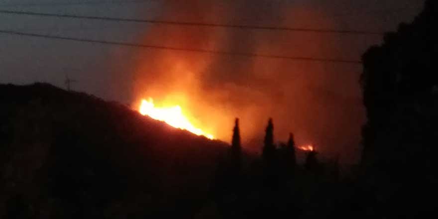 Bodrum'da makilik alanda yangın!