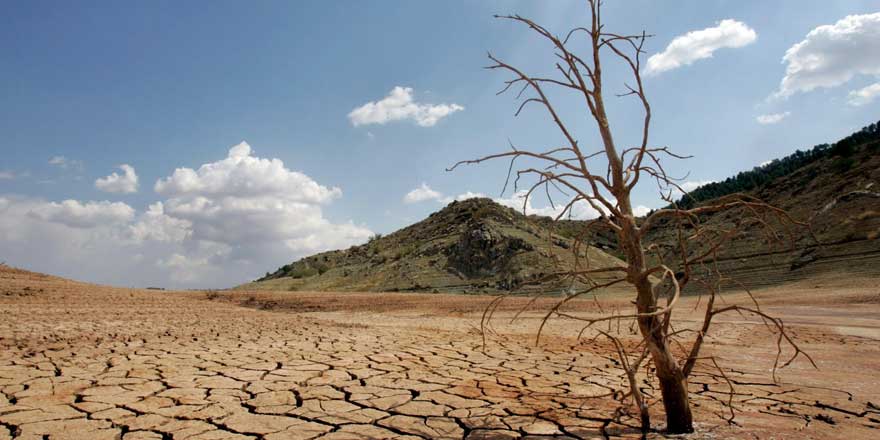 Son 20 yılın en kurak dönemi... Tarımsal afet yaşanıyor